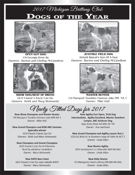MBC Dogs of the Year 2017